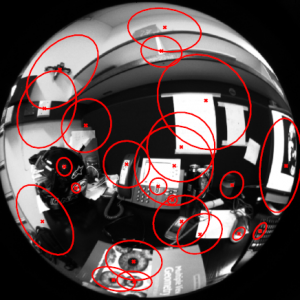 balls